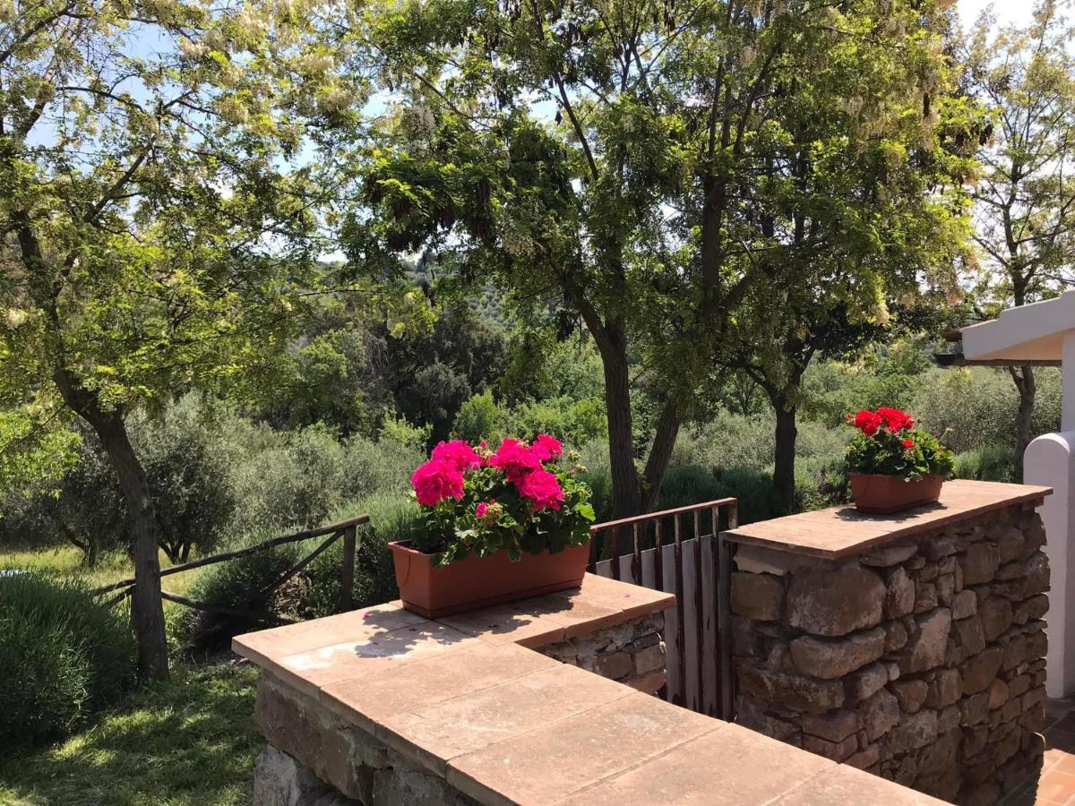 Tenuta Le Mandorlaie, Agriturismo In Scansano Exterior photo