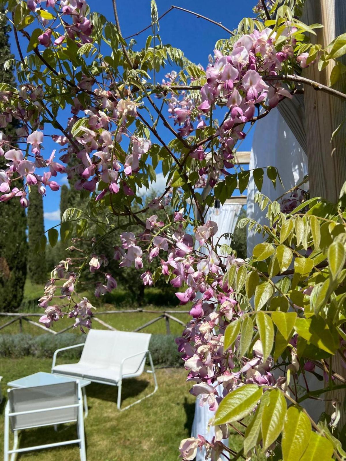 Tenuta Le Mandorlaie, Agriturismo In Scansano Exterior photo