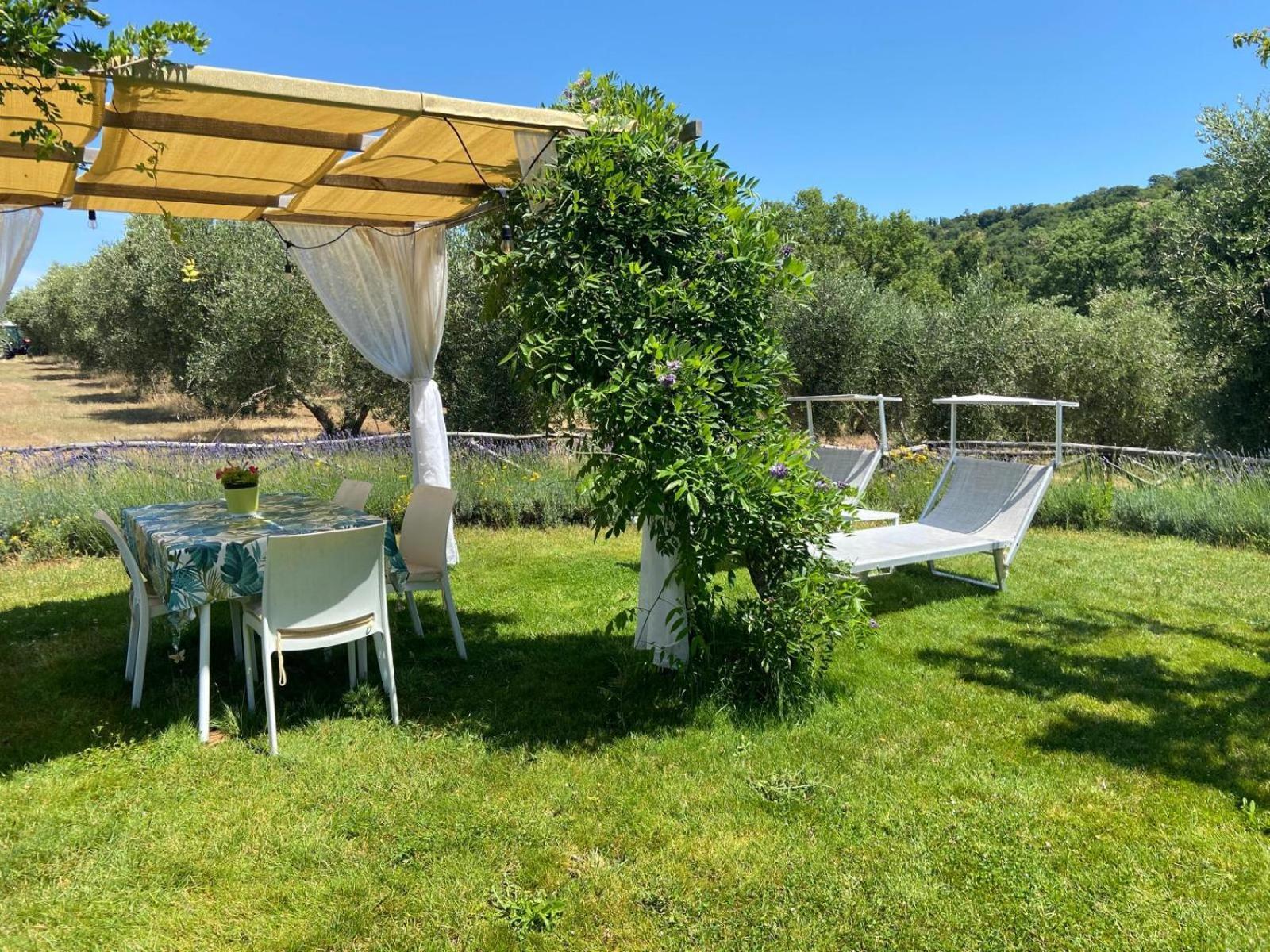 Tenuta Le Mandorlaie, Agriturismo In Scansano Exterior photo