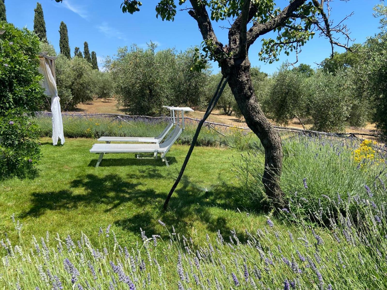 Tenuta Le Mandorlaie, Agriturismo In Scansano Exterior photo